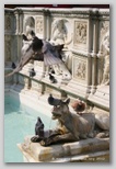 La Fonte Gaia sur la Piazza del Campo à Sienne