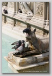 La Fonte Gaia sur la Piazza del Campo à Sienne