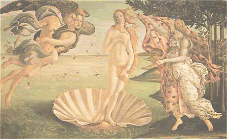 botticelli - La naissance de Venuse - Musée des Offices à Florence
