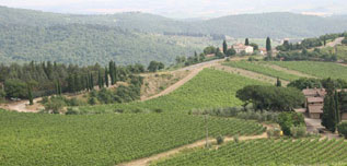 Visite Chianti