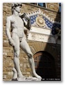 david di michelangelo