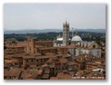 siena